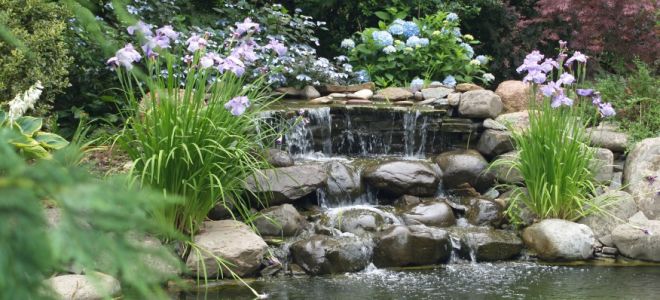 Элементы воды в ландшафтном дизайне