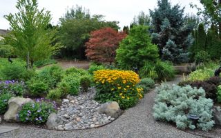 Формируем почву