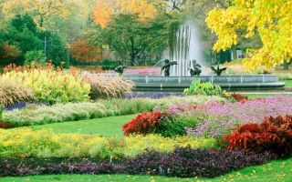 Симфония осеннего сада