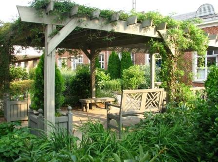 pergola7