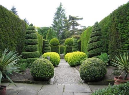topiary2