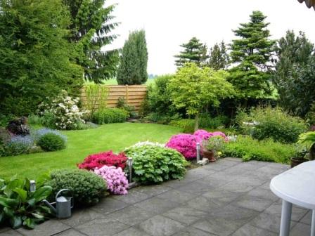 Газон на даче